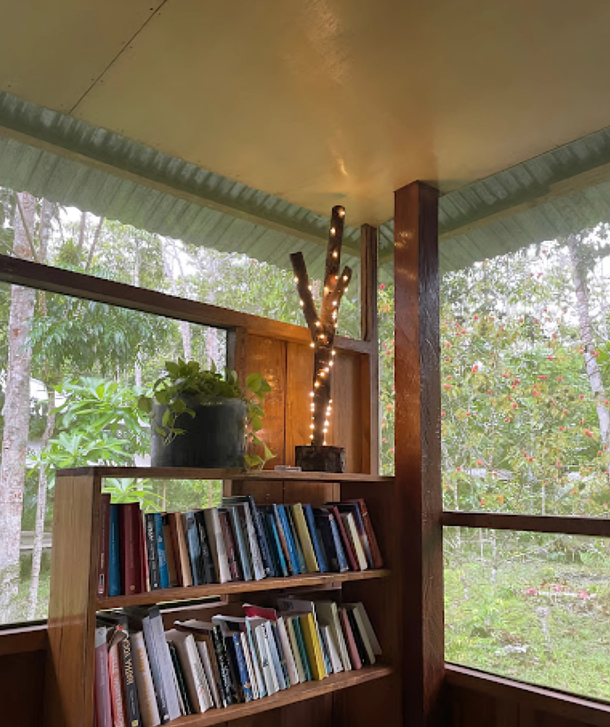 Regenwald Wanderungen