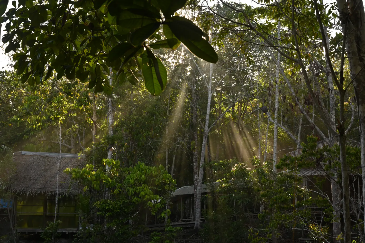 campo SamaYunka  