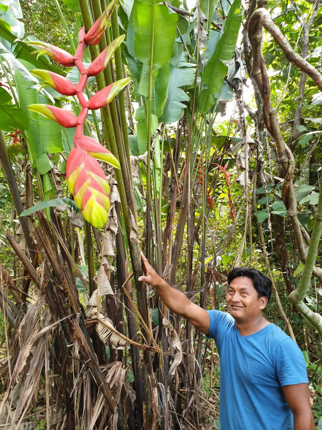 Tierbeobachtungen im Amazonas
