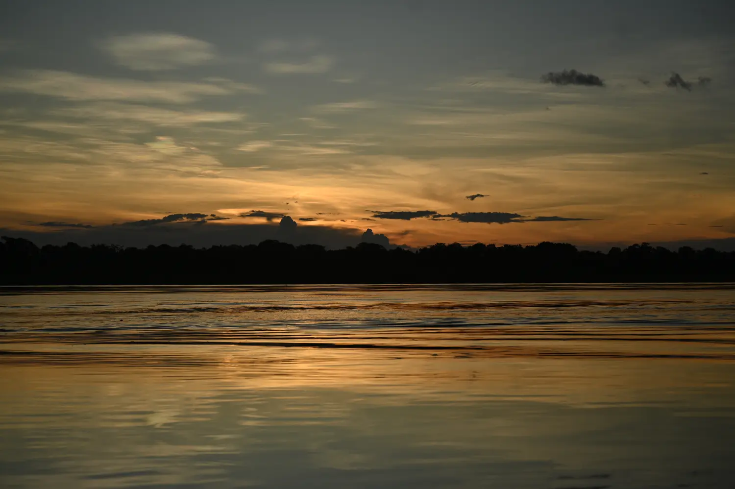 Amazonas Lodge Peru