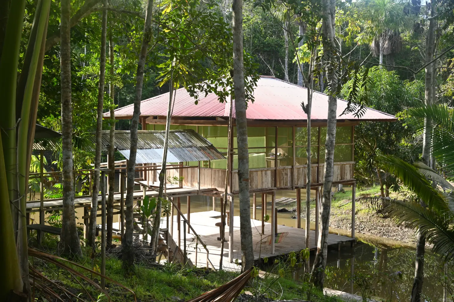 Abenteuerreisen und Naturerlebnisse im Regenwald